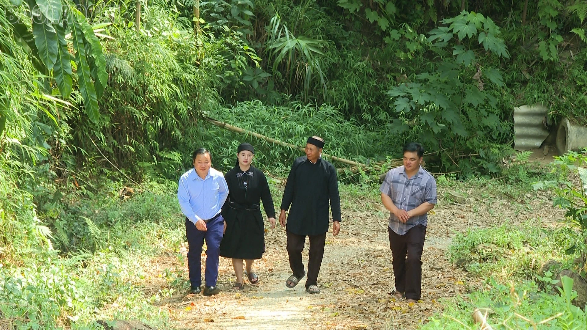 baolaocai-tl_la-chi-4604.jpg