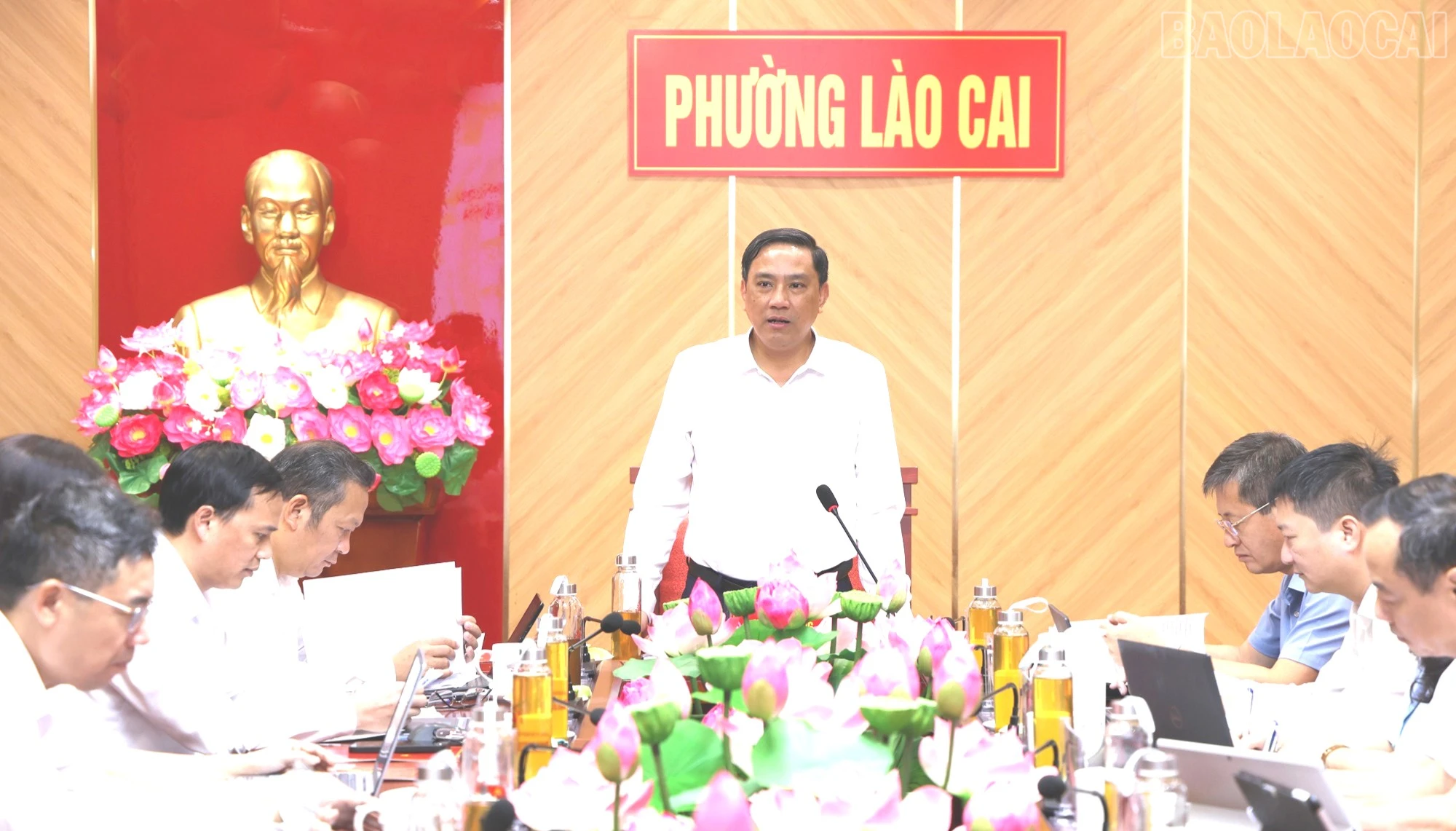 baolaocai-tr_1l8a0236cc.jpg