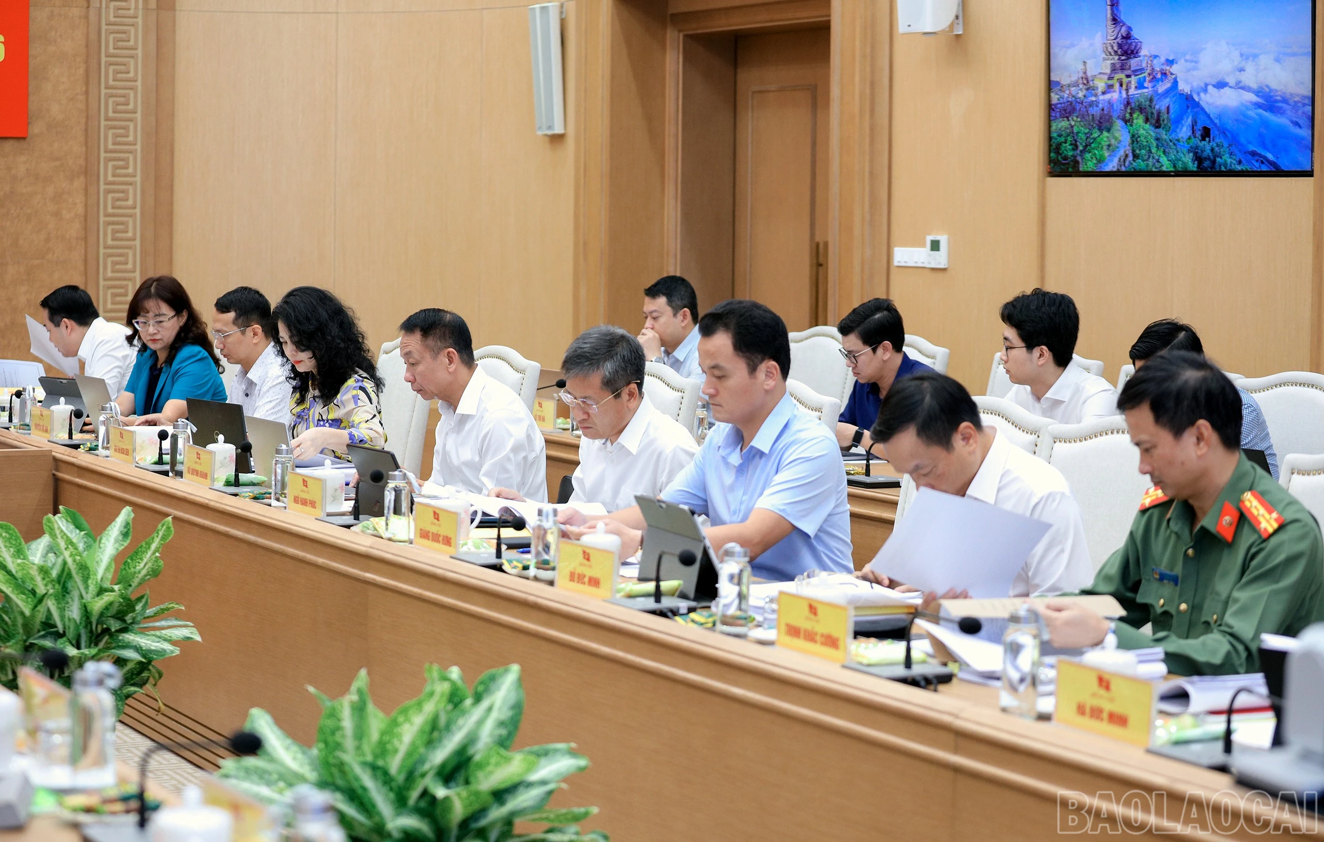 baolaocai-br_7j5a8393.jpg