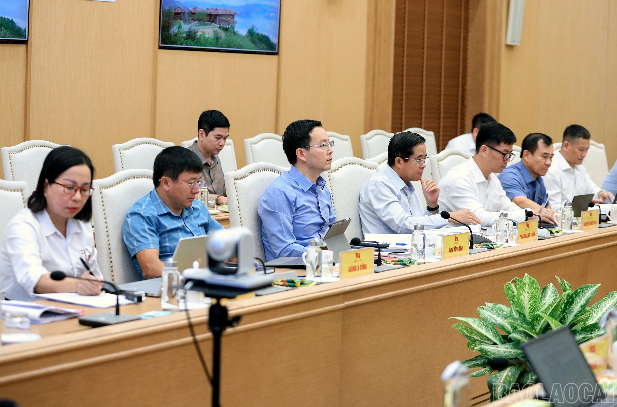 baolaocai-br_7j5a8459.jpg