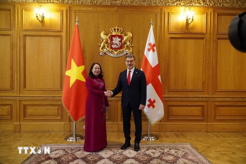 Tổng thống Gruzia Mikheil Kavelashvili tiếp Phó Chủ tịch nước Võ Thị Ánh Xuân đến chào xã giao. (Ảnh: Tâm Hằng/TTXVN)
