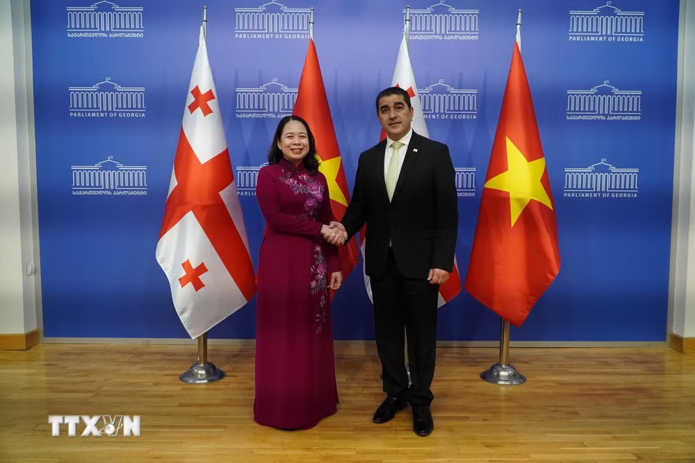 ttxvn-pho-chu-tich-nuoc-vo-thi-anh-xuan-gap-chu-tich-quoc-hoi-gruzia.jpg