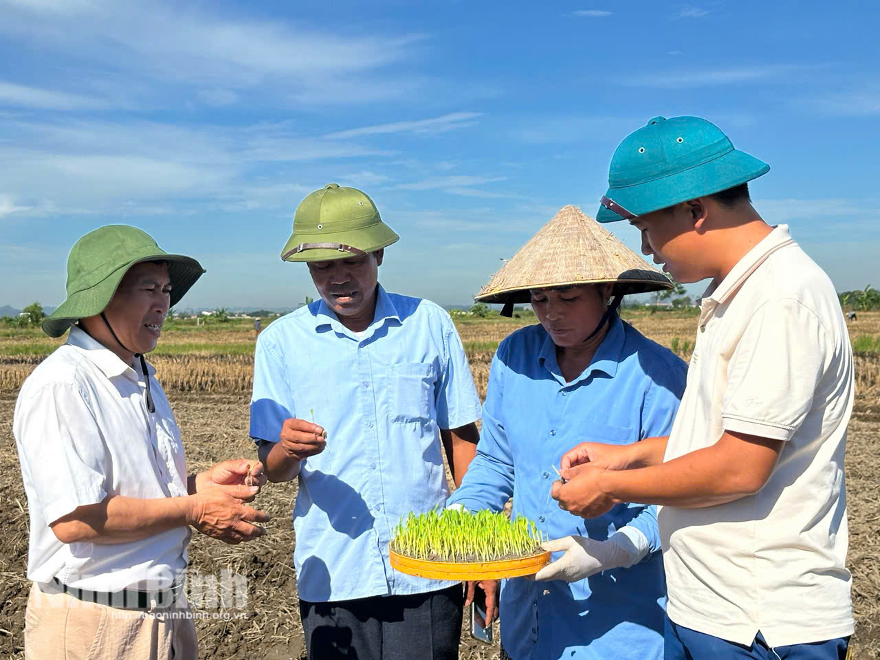 Cán bộ chuyên môn, HTX cùng bà con nông dân xã Yên Từ kiểm tra sự phát triển của cây giống ươm khay để đảm bảo khung thời vụ.