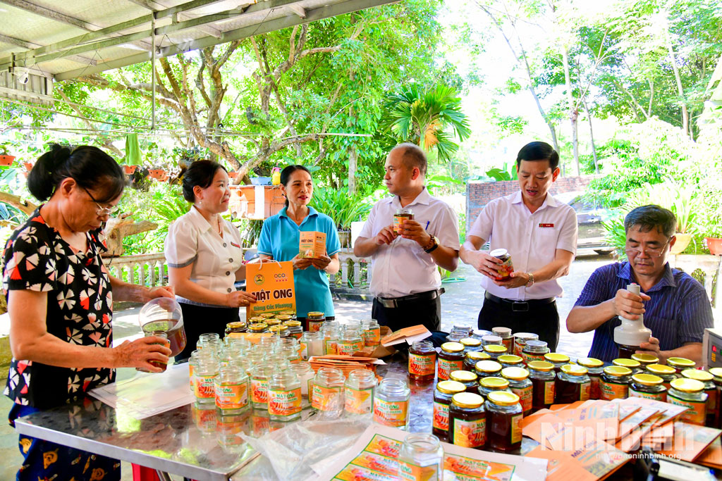 Ông Bùi Đức Thuận (người ngồi) giới thiệu về sản phẩm của HTX mật ong Cúc Phương.