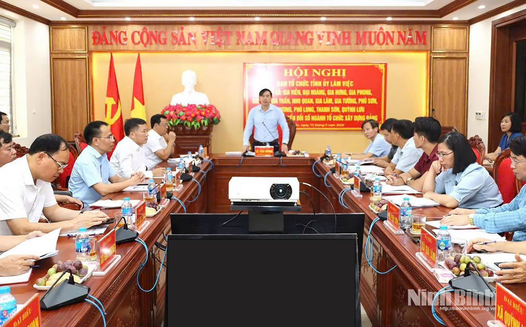Đồng chí Lê Văn Hùng, Phó trưởng Ban Tổ chức Tỉnh uỷ làm việc với các xã về chuyển đổi số của Ngành. Ảnh: Đức Lam