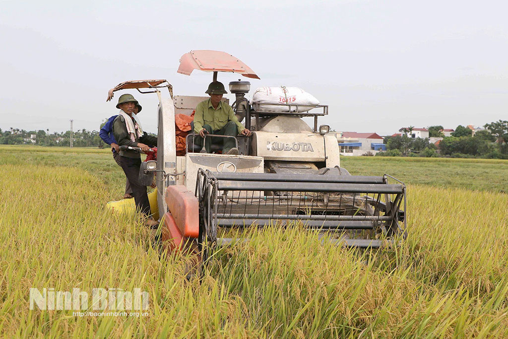 Từ những cánh đồng được quy hoạch, tập trung lại, phương thức sản xuất nông nghiệp ở Ninh Bình đang từng bước thay đổi.
