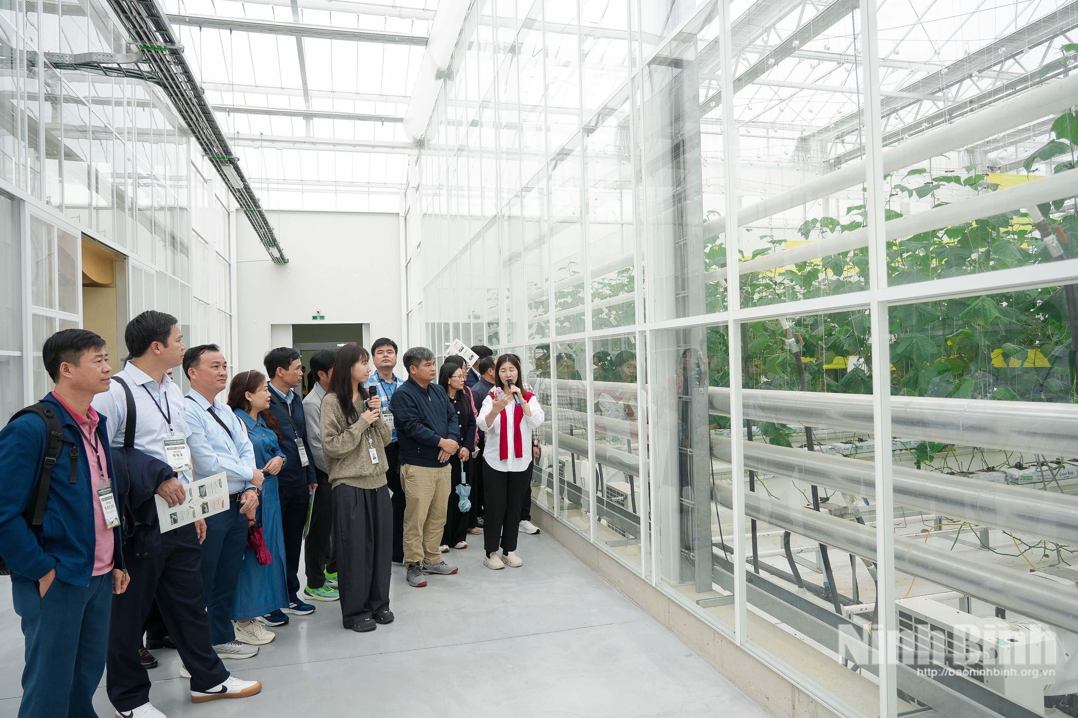 Đoàn công tác tỉnh Ninh Bình khảo sát mô hình nông nghiệp công nghệ cao tại Thung lũng Đổi mới Trang trại Thông minh Sangju (Hàn Quốc).