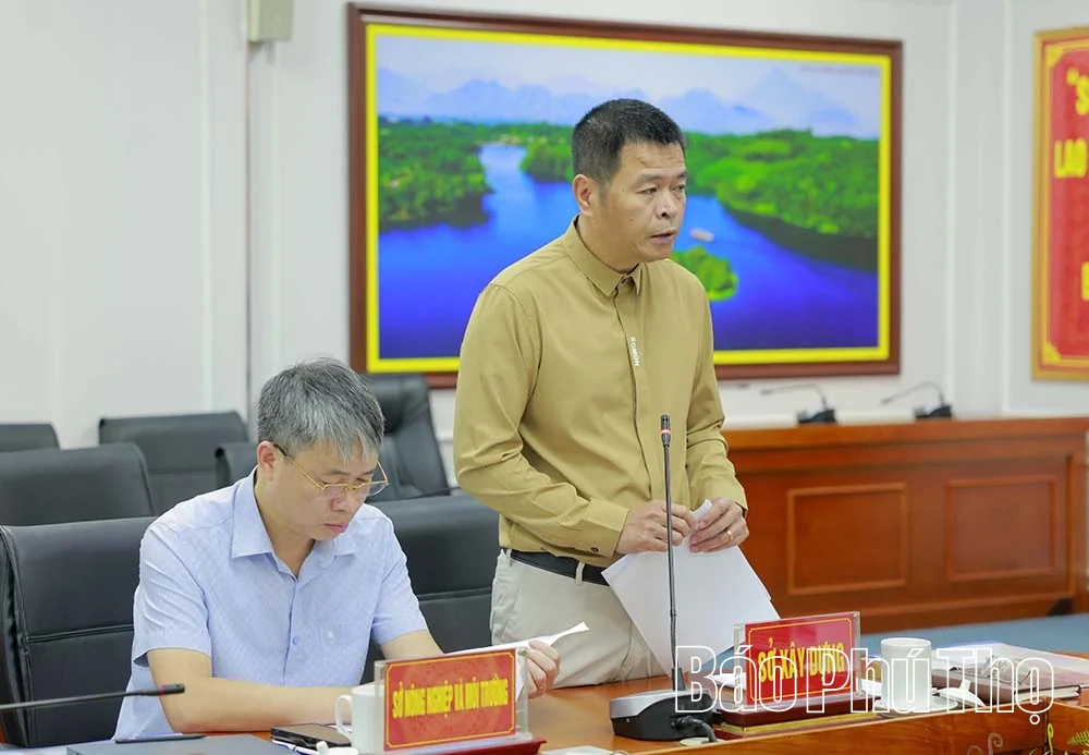 Phó Chủ tịch UBND tỉnh Vũ Việt Văn: Hoàn thành các thủ tục theo quy định, sớm triển khai 3 dự án nhà ở