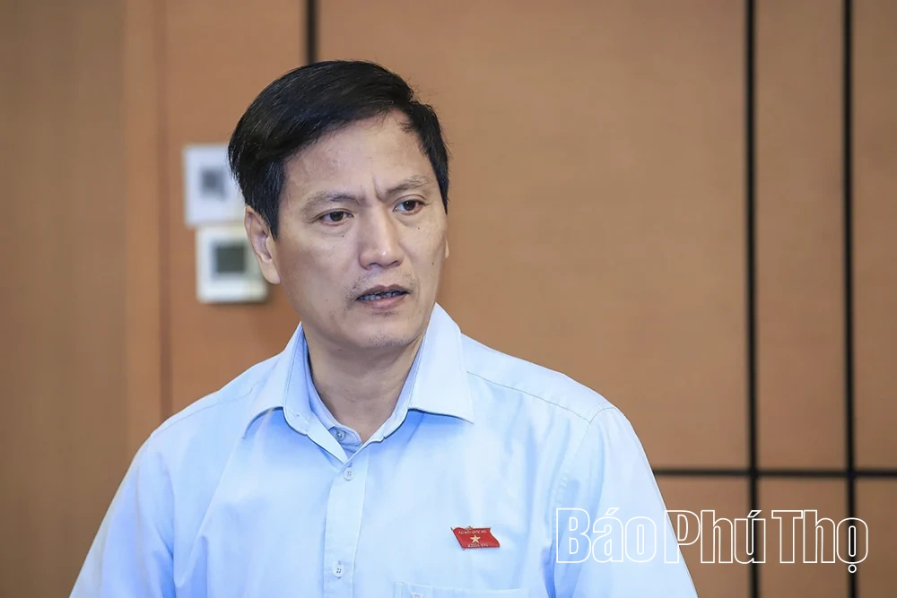 Đại biểu Quốc hội tỉnh thảo luận các dự án luật về hiến, lấy, ghép mô, bộ phận cơ thể người và phòng, chống tác hại của thuốc lá