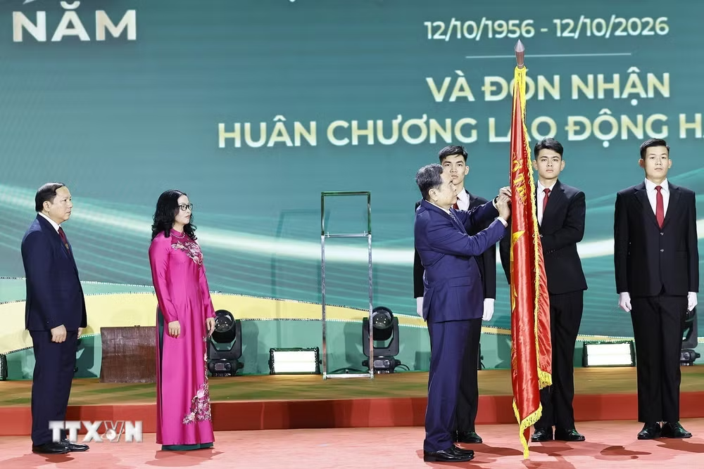 tai,xuong,8,12083610.png