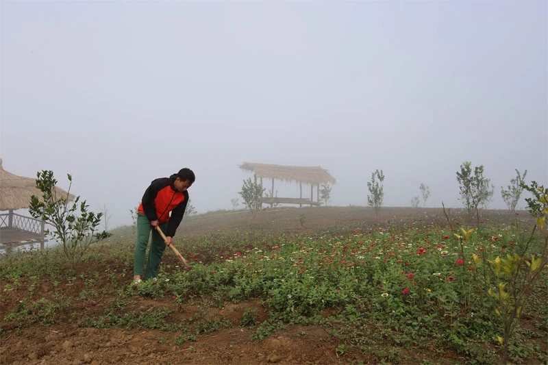 Đồng b&agrave;o M&ocirc;ng một l&ograve;ng theo Đảng - Kh&aacute;t vọng đổi đời từ n&uacute;i cao (B&agrave;i 2): Những &ldquo;hạt giống đỏ&rdquo; ph&iacute;a sau dốc &ldquo;cổng trời&rdquo;