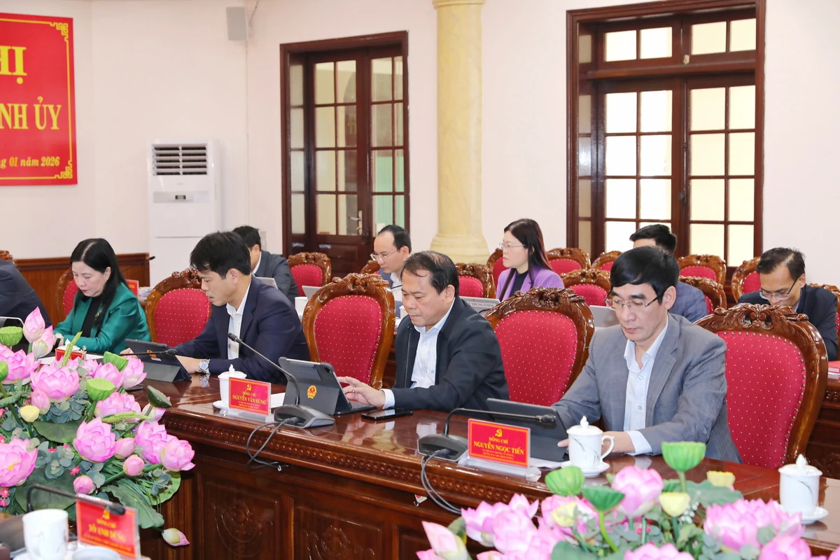 Ban Thường vụ Tỉnh ủy thống nhất chủ trương đầu tư một số dự &aacute;n quan trọng