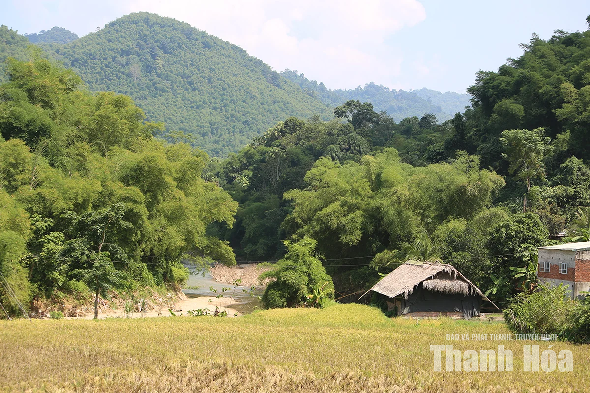Đảng trao niềm tin, cán bộ trẻ dựng xây bản làng (Bài 1): Cử nhân trẻ chọn về bản cống hiến
