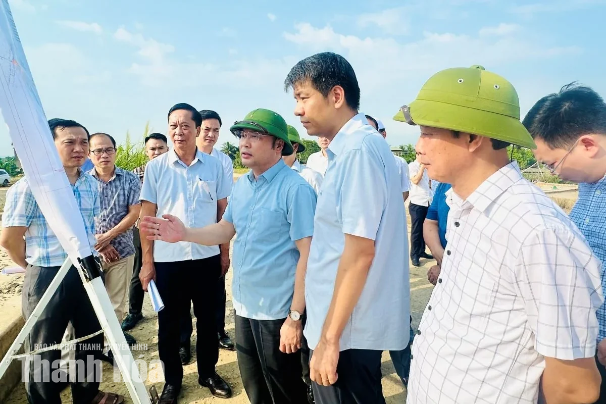 Nhà thầu không bảo đảm tiến độ phải bị thay thế, thu hồi vốn tạm ứng chưa có khối lượng hoàn ứng