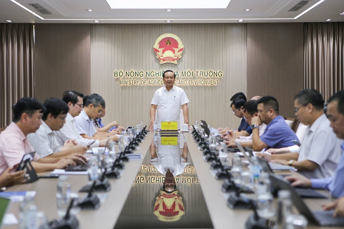Thứ trưởng Võ Văn Hưng chỉ đạo cuộc họp chiều ngày 6/10. Ảnh: Đinh Tùng. Thứ trưởng Võ Văn Hưng chỉ đạo cuộc họp chiều ngày 6/10. Ảnh: Đinh Tùng.