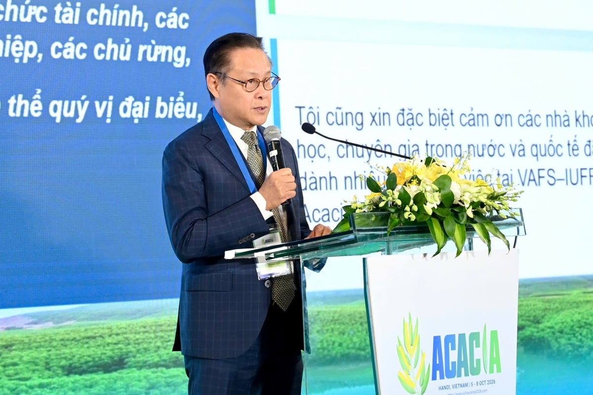 Ông Nguyễn Quốc Khanh, Chủ tịch Hiệp hội Gỗ và Lâm sản Việt Nam (VIFOREST). Ảnh: Kiều Chi.