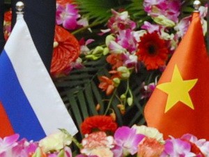 Việt Nam - Nga trao đổi kinh nghiệm về chuyển đổi số- Ảnh 13.