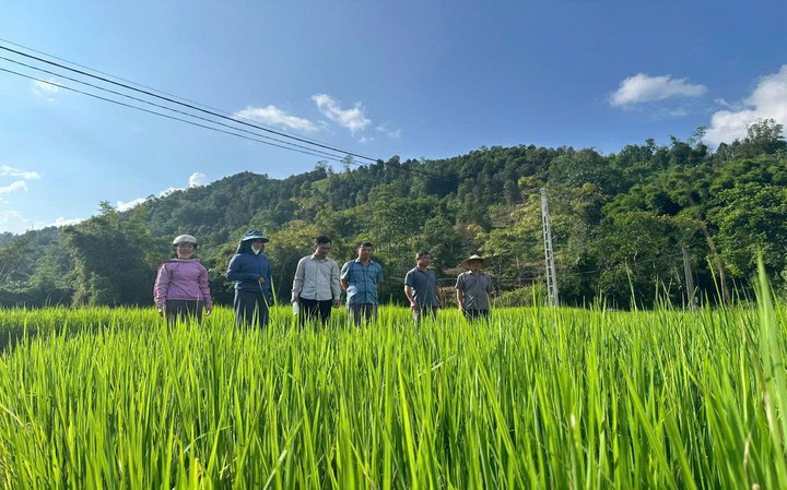 Đưa kết quả nghiên cứu khoa học vào sản xuất tại vùng nông thôn Lạng Sơn- Ảnh 2.