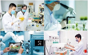 “Các công trình được trao giải phải xứng đáng với tầm vóc Giải thưởng Hồ Chí Minh và Giải thưởng Nhà nước về KH&CN” - Ảnh 11.