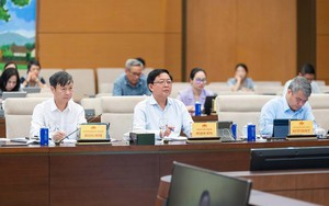 Hoàn thiện dự thảo Luật Sở hữu trí tuệ: Cải cách thực chất, chuyển giao nhiệm vụ không gián đoạn- Ảnh 3.