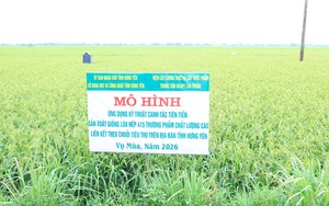 Tiêu chuẩn cho ống hút phân hủy sinh học: Kết nối công nghệ vật liệu với tiêu dùng bền vững- Ảnh 5.