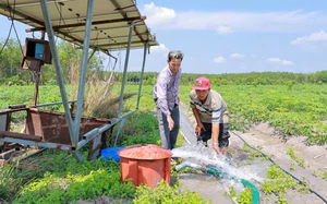 Tây Ninh tập trung giải quyết các "bài toán lớn" về khoa học, công nghệ và chuyển đổi số - Ảnh 8.