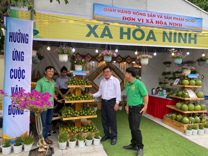 Bưởi da xanh Hòa Ninh: Từ chuyển giao kỹ thuật đến sinh kế vùng đồi- Ảnh 2.