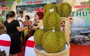 Ứng dụng kỹ thuật canh tác hữu cơ trong sản xuất lúa tại Đồng Nai- Ảnh 3.