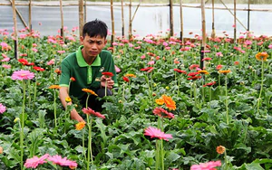 Đưa kỹ thuật chăn nuôi, thâm canh cà phê đến 129 hộ dân ở Lâm Đồng  - Ảnh 7.