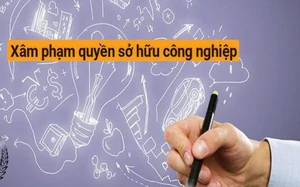Tên miền “.vn”: Bổ sung biểu phí, mở rộng diện miễn phí 3 năm- Ảnh 7.