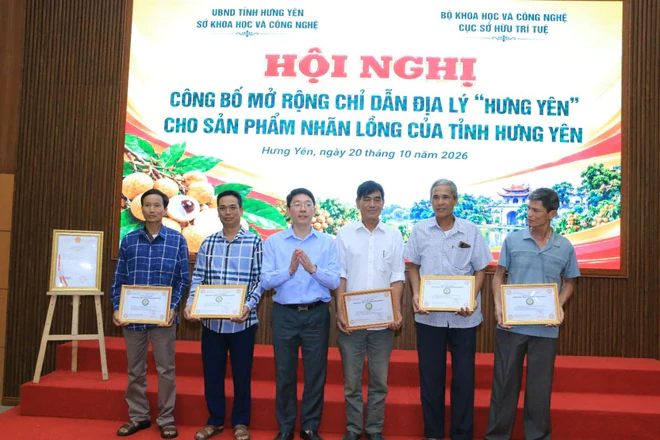 Hưng Yên mở rộng chỉ dẫn địa lý cho sản phẩm nhãn lồng- Ảnh 7.