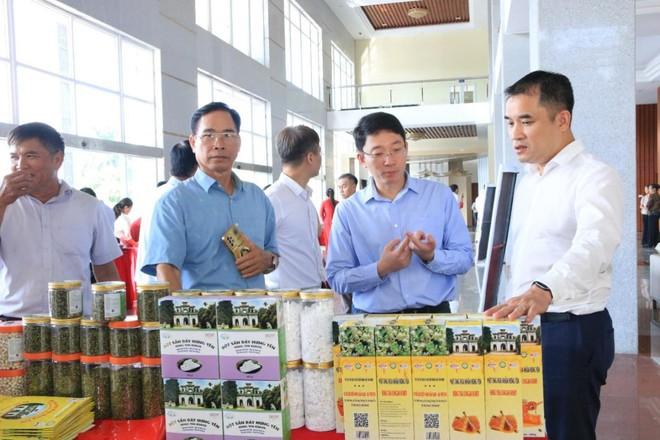 Hưng Yên mở rộng chỉ dẫn địa lý cho sản phẩm nhãn lồng- Ảnh 10.