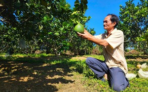 Thúc đẩy nghiên cứu, ứng dụng công nghệ thu giữ và lưu trữ CO₂ tại Việt Nam- Ảnh 10.