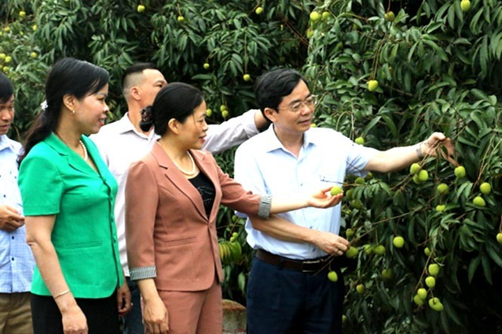 Nhiều công trình khoa học, công nghệ gắn với thực tiễn tham gia Giải thưởng Lê Quý Đôn- Ảnh 1.