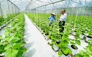 Thúc đẩy nghiên cứu, ứng dụng công nghệ thu giữ và lưu trữ CO₂ tại Việt Nam- Ảnh 14.