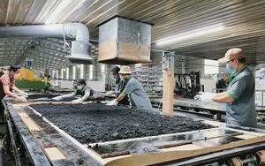 Đưa sáng chế Việt vào sản xuất: Bài toán thị trường và giá trị thực tiễn- Ảnh 7.