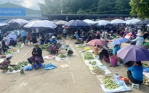 Khơi thông nguồn lực khoa học, công nghệ, tạo động lực tăng trưởng vùng trung du và miền núi phía Bắc- Ảnh 12.
