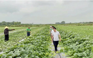 Khơi thông nguồn lực khoa học, công nghệ, tạo động lực tăng trưởng vùng trung du và miền núi phía Bắc- Ảnh 4.
