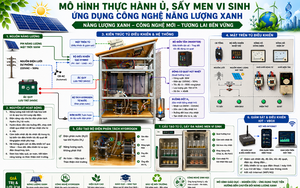 Thúc đẩy nghiên cứu, ứng dụng công nghệ thu giữ và lưu trữ CO₂ tại Việt Nam- Ảnh 13.