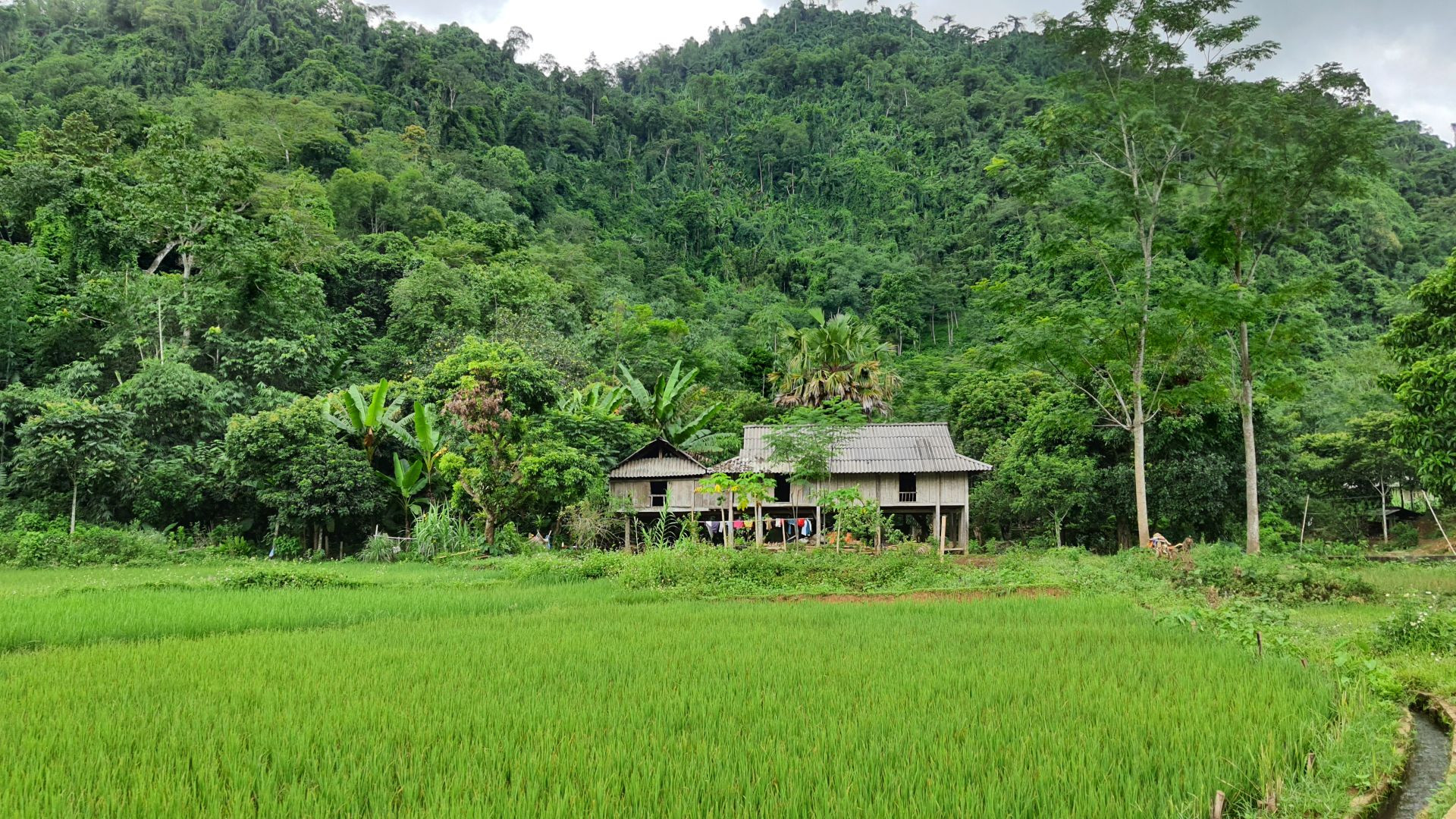 https://static-images.vnncdn.net/vps_images_publish/000001/000003/2026/10/4/anh-nha-san-thai-va-phong-canh-a3-1562.jpg