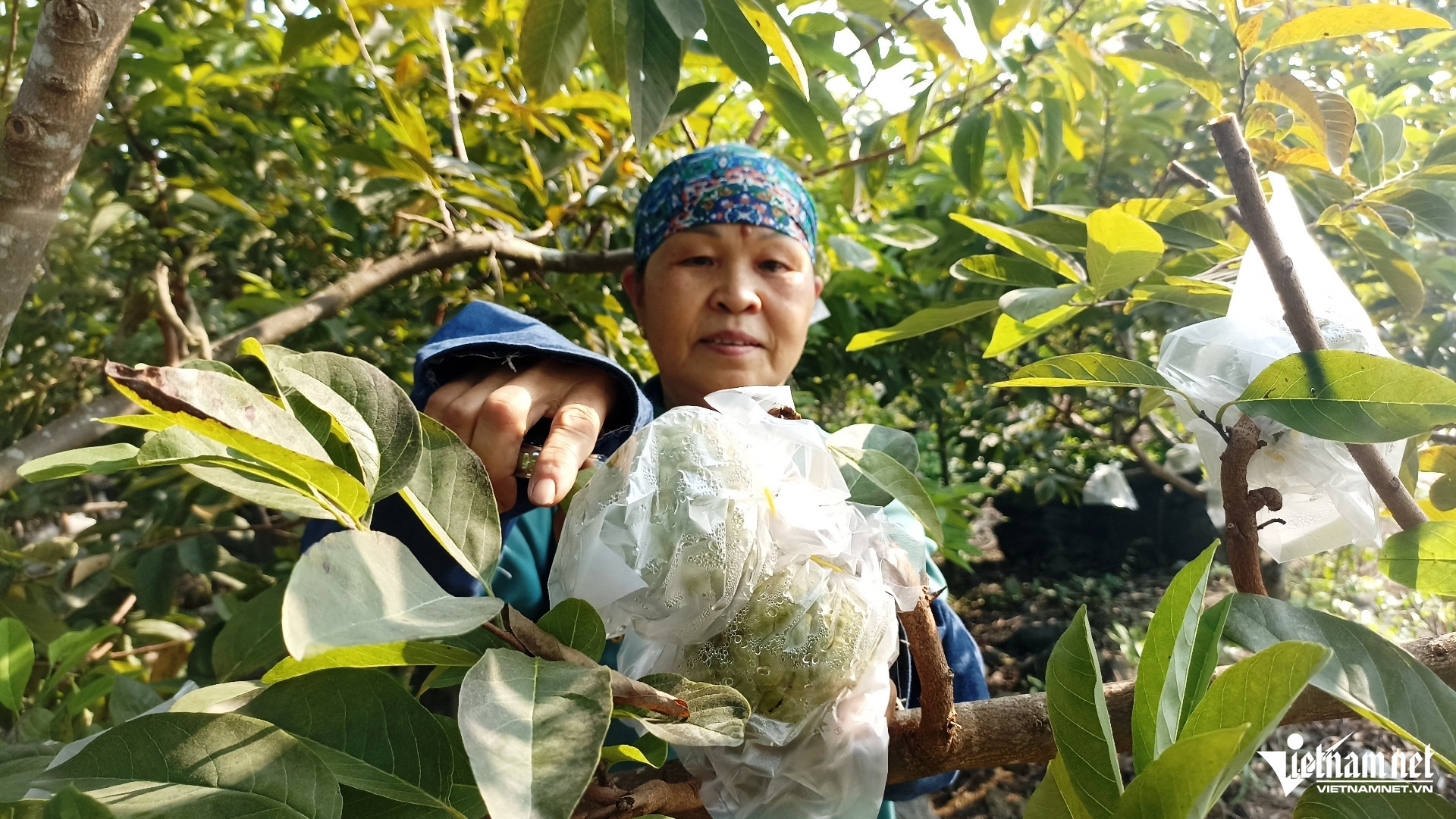W-Na Phú Long 6.jpg