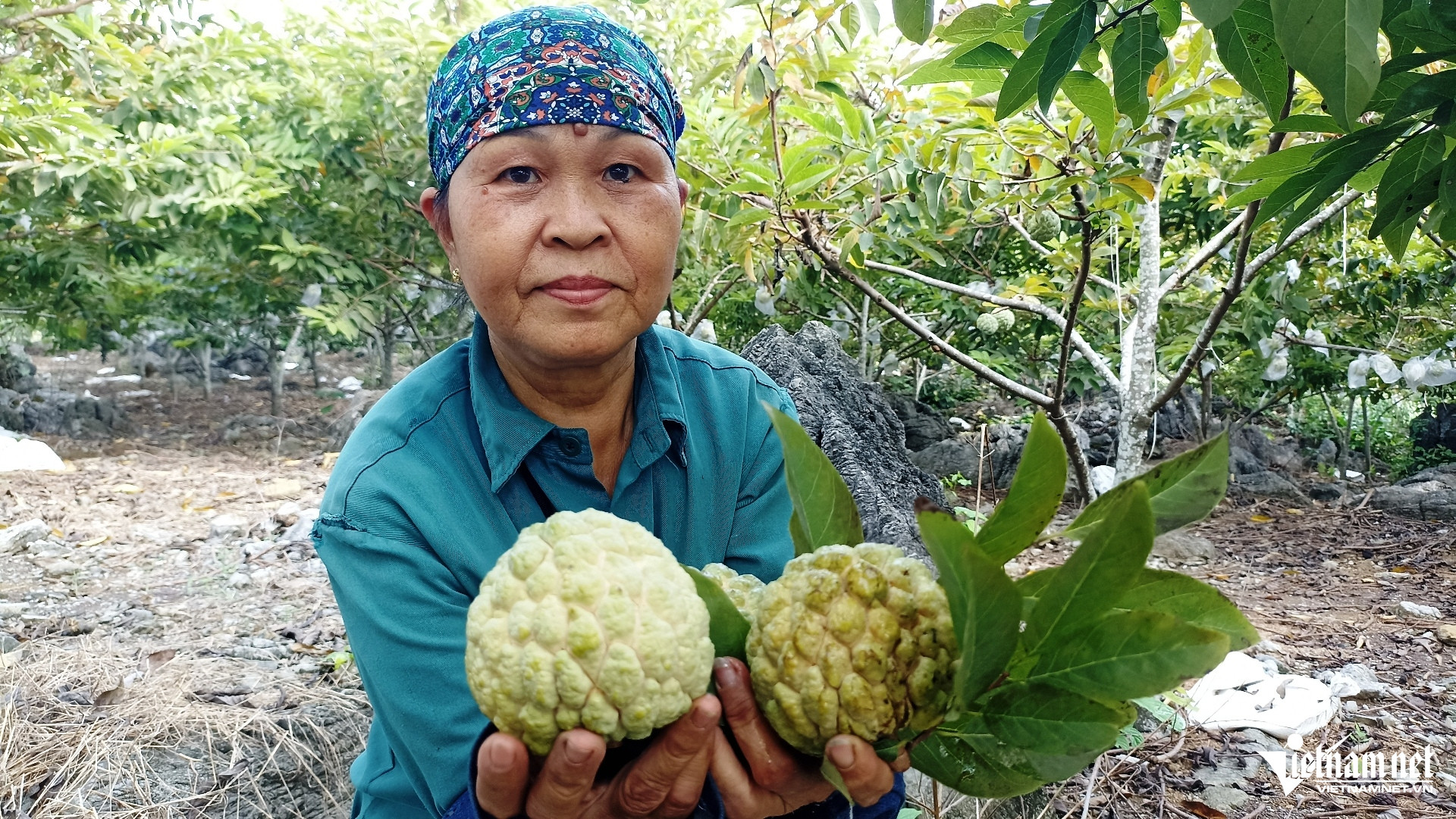 W-Na Phú Long 7.jpg