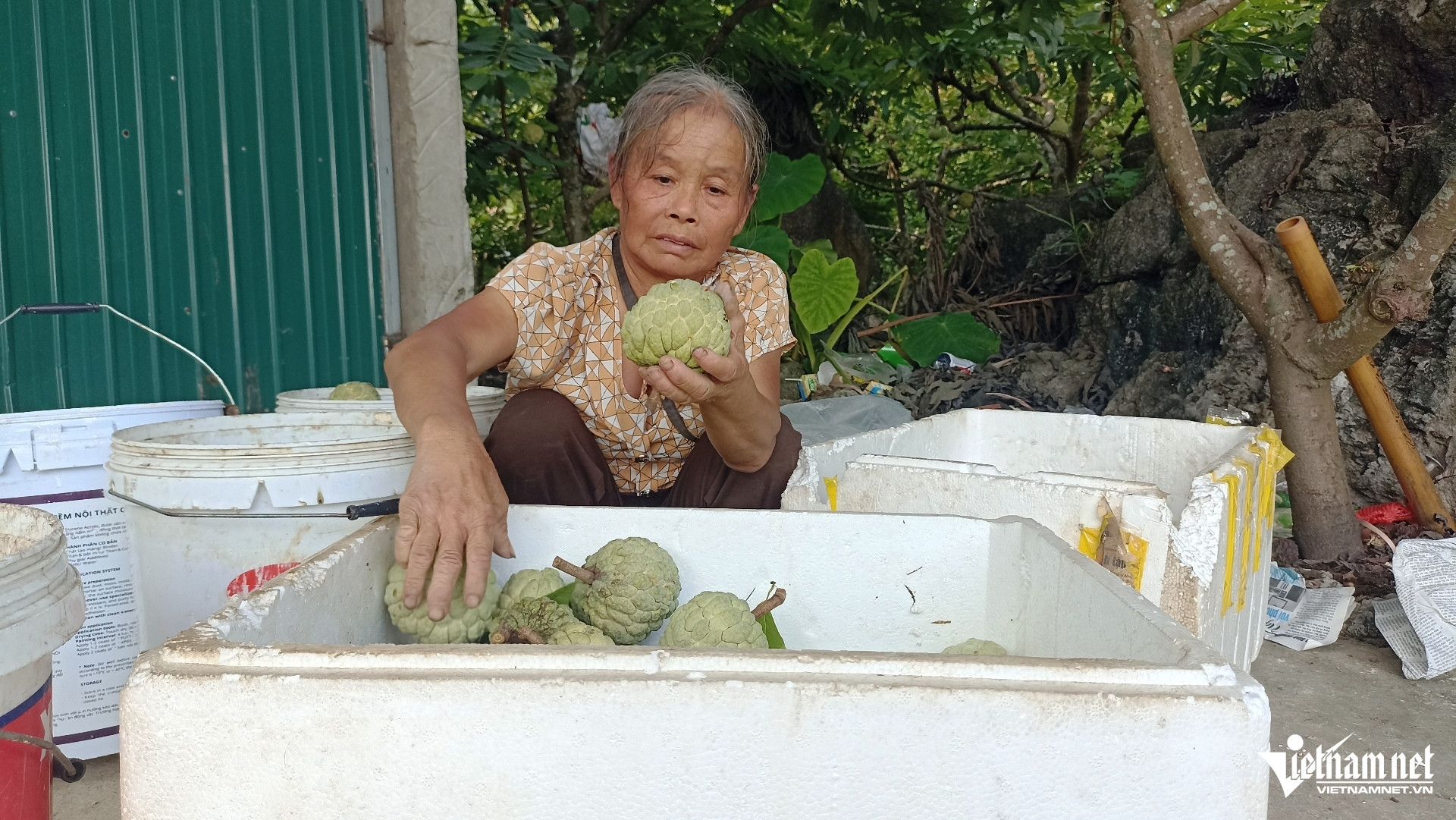 W-Na Phú Long 8.jpg