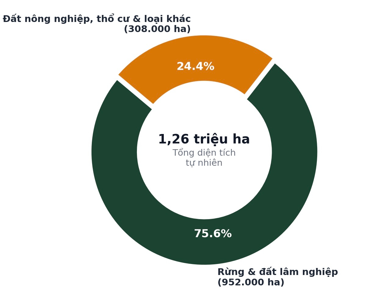 W-Bieu do 1   Co cau dat dai Quang Tri.png